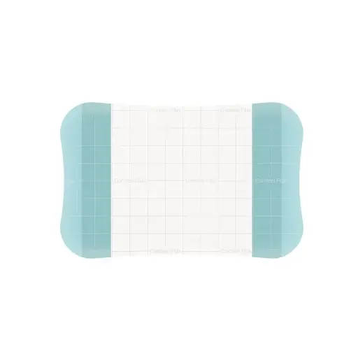 [5989] Comfeel Plus Transparent 9 cm x 14 cm - 10 pièces