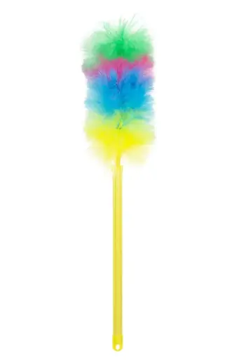 [169] Plumeau statique avec manche télescopique 115 cm - 1 pièce